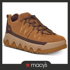 in stock Mens Uggs, Chestnut, Low Top, Top Sneakers, Pick Up, In Store, Buy Online, Sneakers, Free Shipping