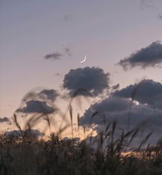 the sun is setting over some tall grass and clouds in the sky with a half moon