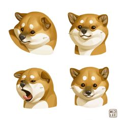 four different angles of a dog's head