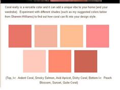 an orange and pink color scheme with different shades