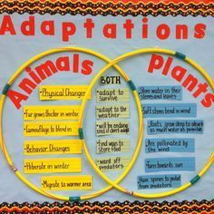 two circles with words describing the different types of animals and plants in them, on a bulletin board