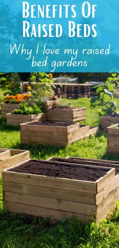 I love my raised garden beds. They are very much a DIY garden bed, but they have worked out so much better than I could have ever hoped. There are a ton of benefits and, yes, a couple downsides. Types Of Gardens, Military Housing, Diy Garden Bed, Container Gardens, Garden Bed, An Apartment, Raised Beds, Raised Garden