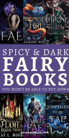 the cover for spicy and dark fairy books