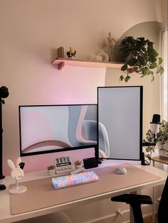 two computer monitors sitting on top of a desk next to a plant in a vase