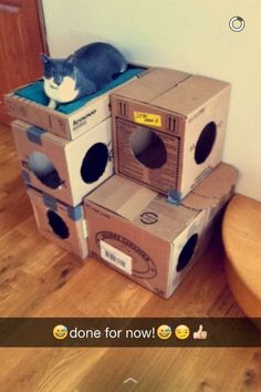 three cardboard boxes stacked on top of each other with a cat laying on top of them