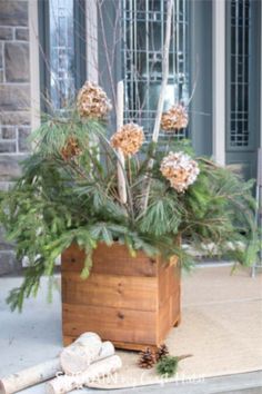 a potted plant with pine cones and branches in front of a door way entrance