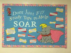 a bulletin board that says don't just fly study tips to help soar