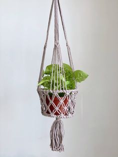 a potted plant hanging from a macrame