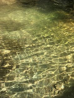 the water is crystal clear and reflecting sunlight