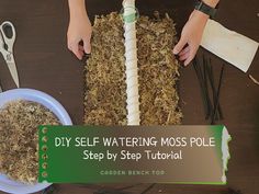 someone is working on making moss pole