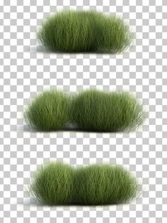 three green grass borders on a transparent background