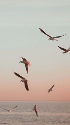 a flock of birds flying over the ocean