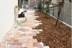 a brick path leading to a building with a potted plant on the side and a dog bowl next to it