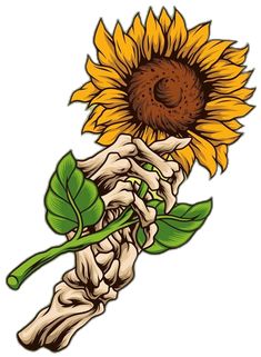 a drawing of a sunflower on a white background