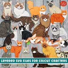 several different types of cats and kittens on a wooden background with text that reads layered svg files for cricut crafters