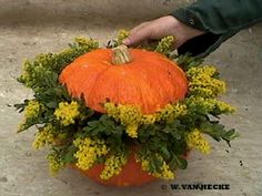 an orange pumpkin sitting on top of a planter filled with yellow and green flowers