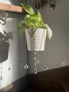 a potted plant hanging from a wooden shelf