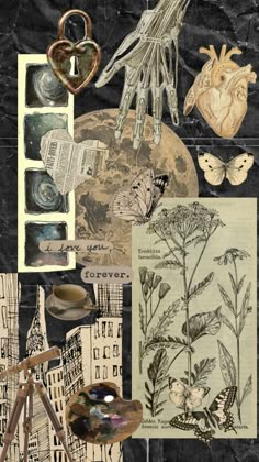 collage of various items including flowers, leaves and other things on black paper with white writing