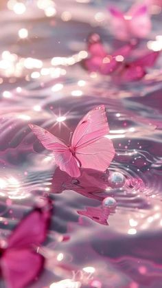 a pink butterfly floating on top of water