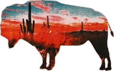 an image of a bison in the desert with cactus trees and sunsets behind it