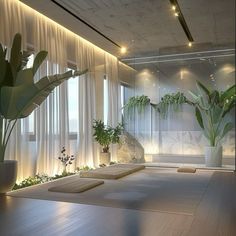 a room that has some plants in it