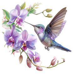 a painting of a hummingbird and purple flowers