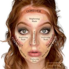 Makeup Diagram, Makeup Placement Face, Contour Placement, Makeup Placement, Face Makeup Steps, Natural Makeup Tips