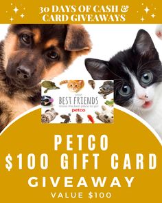 the petco gift card giveaway is now available for $ 10, and it's up to $ 100