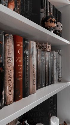 several books are lined up on the shelves