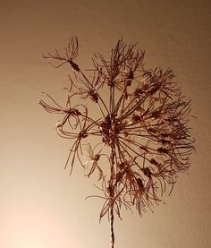 Everlasting Bouquet, Different Types Of Flowers, Dandelion Seed, Wire Trees, Wire Flowers, Wire Tree, Chicken Wire, Crafts Workshop