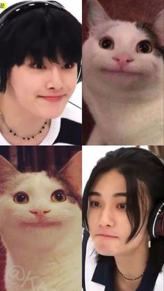 four different pictures of the same person with headphones on and one cat looking at the camera