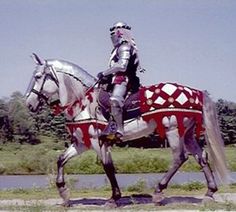 a man riding on the back of a white horse