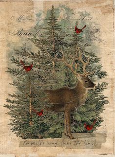 a deer standing in the middle of a forest with birds on it's back