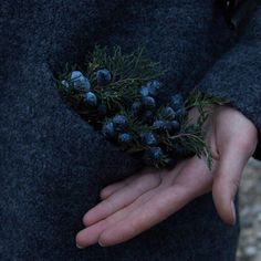 a person's hand holding some blue berries