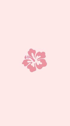 a pink flower on a light pink background