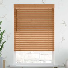 a window with wooden blinds on it and a potted plant in the foreground