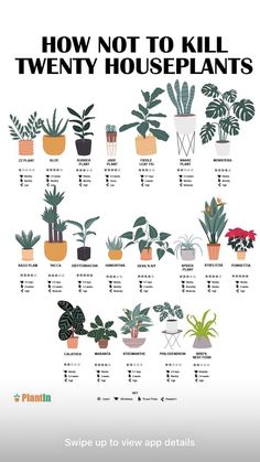 the houseplants poster shows how to kill twenty houseplants in each pot