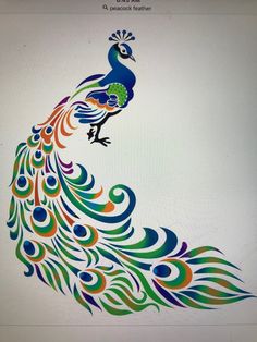 a peacock with colorful feathers on it's tail is standing in front of a white background