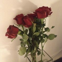 a vase filled with red roses sitting on top of a table next to a wall