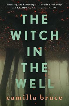 the book cover for the witch in the well by camila bruce, with trees and fog