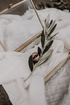 an olive branch is placed in front of a mirror on a white cloth covered bed