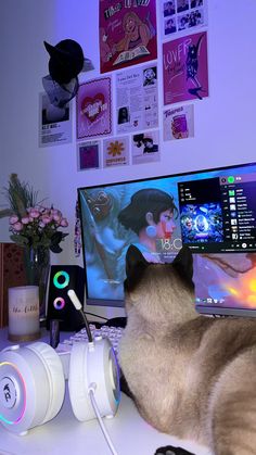 a siamese cat laying on top of a desk next to a computer monitor and keyboard