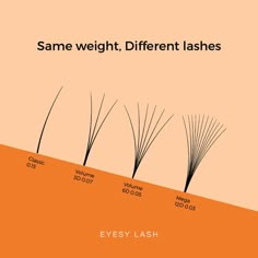 Lashes Lengths Chart, Eyelash Extension Training Manual, Lash Tech Advice, Lash Names For Eyelashes Business, Lash Company Name Ideas, Lash Business Names Ideas, Lash Prices, Esthetician Logo Ideas