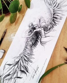 a drawing of a bird with feathers on it