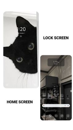 an image of a cat's face with the text lock screen above it and below it