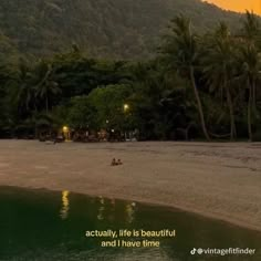 there is a beach with people on it and trees in the backgrouds