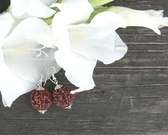 Rudraksha earrings with sterling silver hooks Shiva bead Spiritual Hypoallergenic Earrings As Gift, Spiritual Sterling Silver Earrings With Ear Wire, Spiritual Sterling Silver Earrings Gift, Spiritual Sterling Silver Earrings For Gift, Spiritual Hypoallergenic Round Beads Earrings, Spiritual Style Sterling Silver Earrings For Gift, Hypoallergenic Spiritual Round Bead Earrings, Hypoallergenic Spiritual Dangle Earrings, Nickel Free Beaded Spiritual Earrings