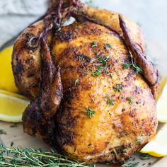 a whole chicken on a plate with lemons and herbs