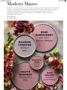 four different shades of pink paint with flowers on the side and text that reads modern mauve