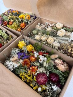 four boxes filled with different types of flowers